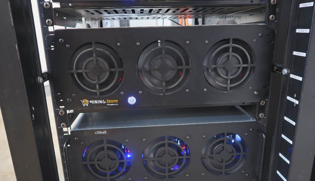 Sacramento Kings Case Study Gallery-03