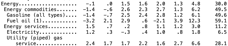 Energy Price Inflation